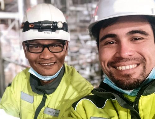 Apoyo lingüístico en implementación proyecto MAPA